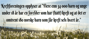 Herlofsen skriver om kreft